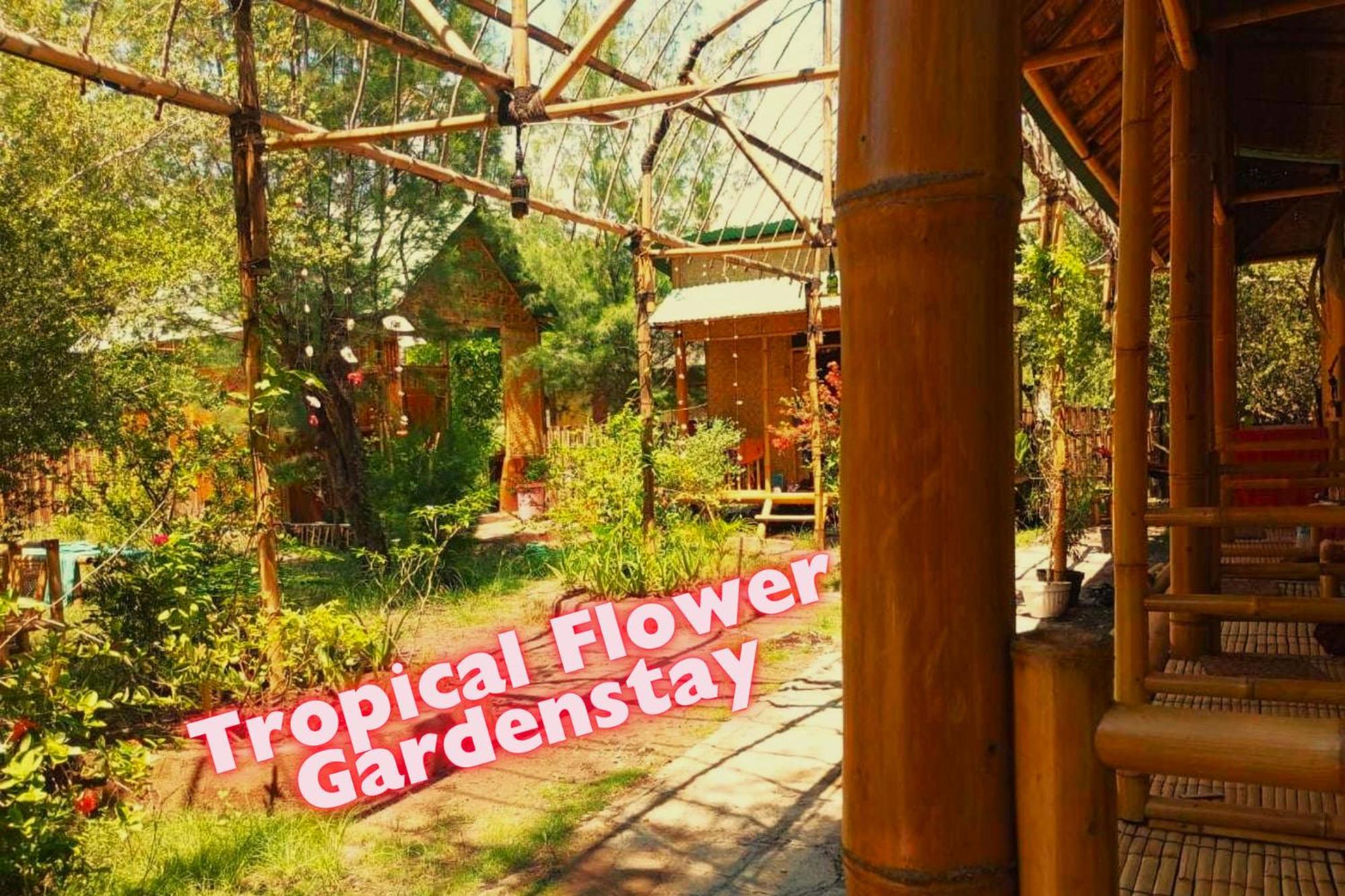 Uncle Hippie'S Dream Hostel Gili Meno Kültér fotó