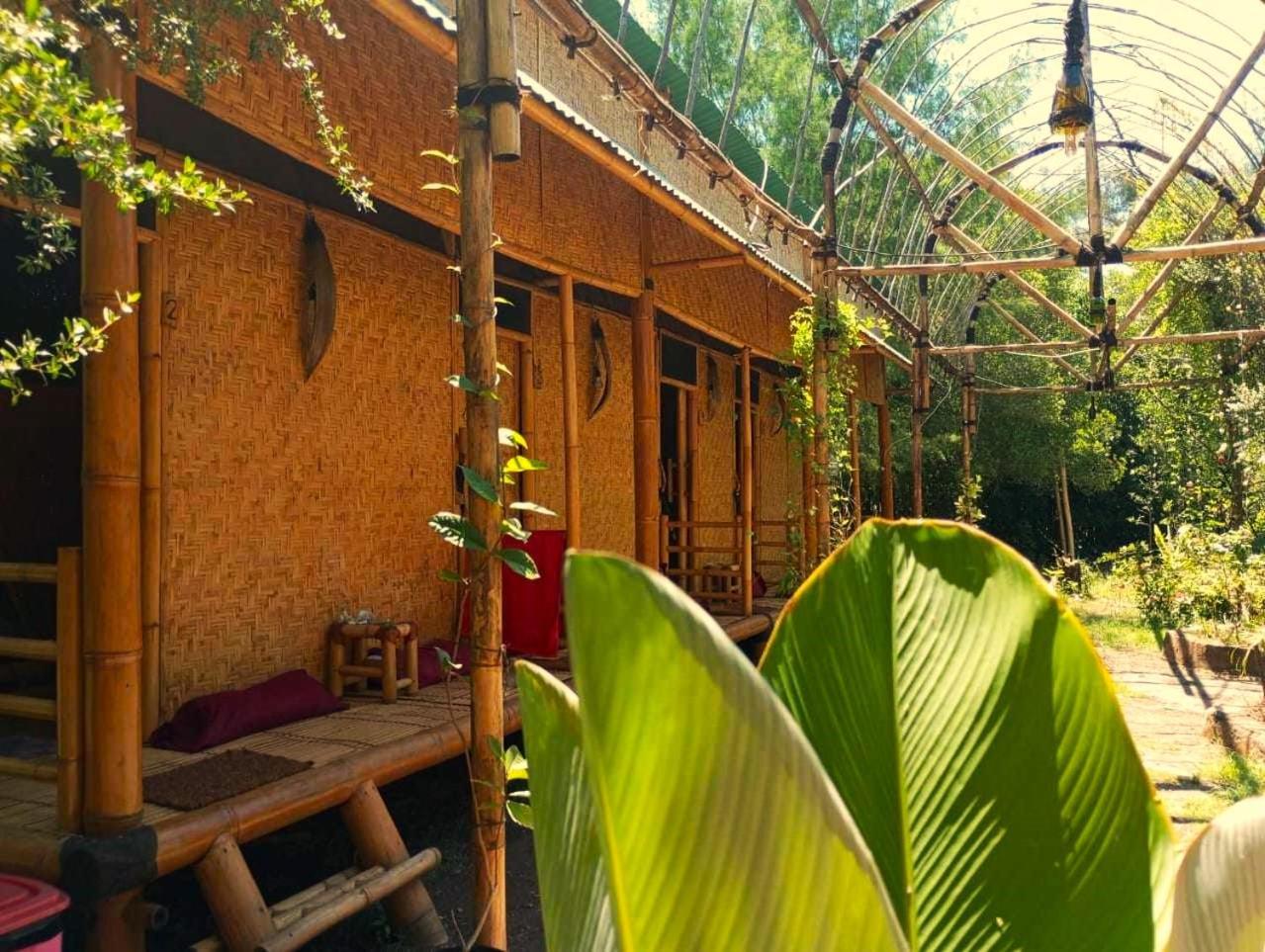 Uncle Hippie'S Dream Hostel Gili Meno Kültér fotó