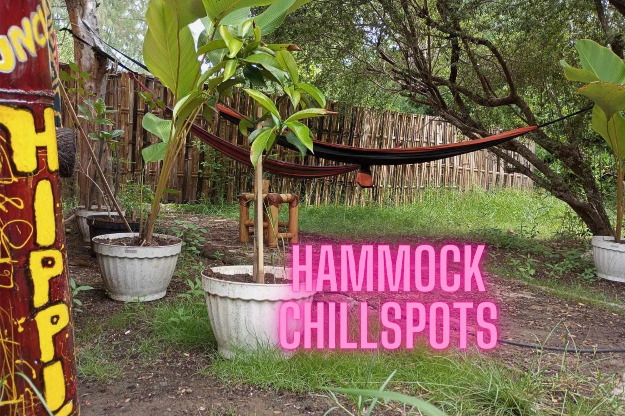 Uncle Hippie'S Dream Hostel Gili Meno Kültér fotó
