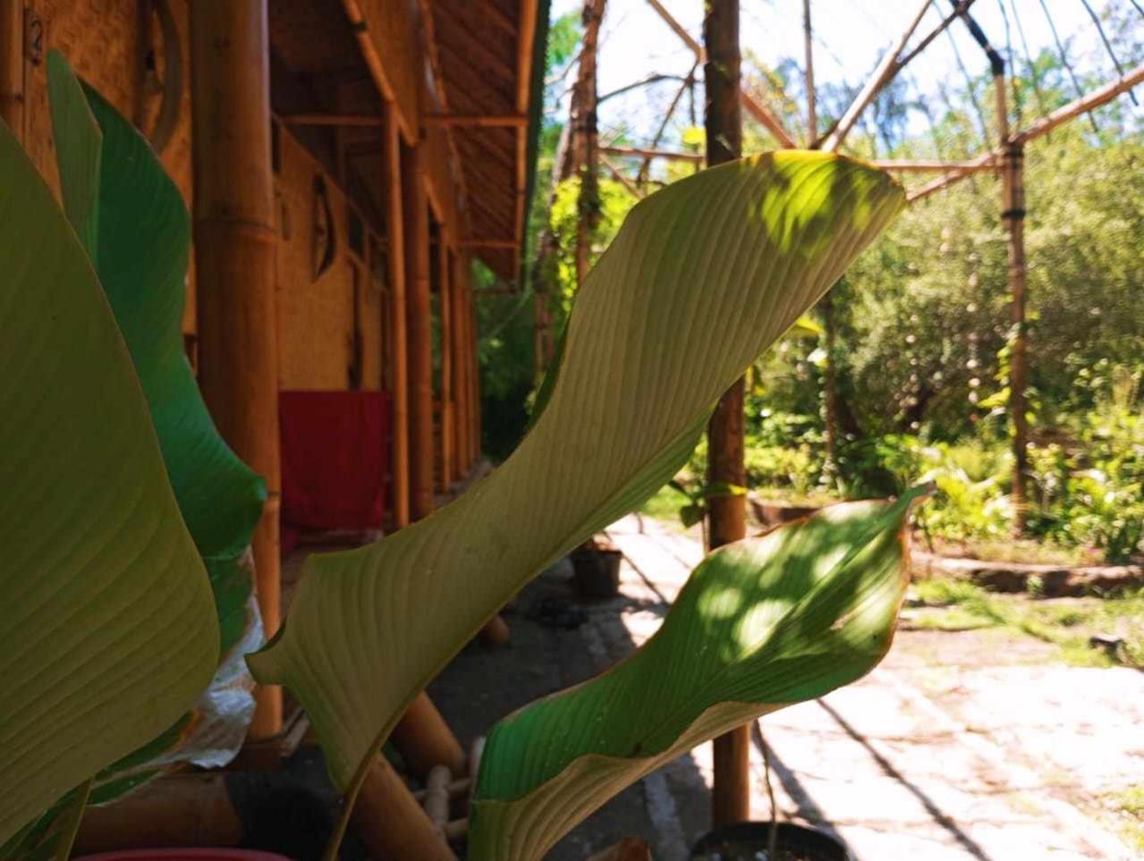 Uncle Hippie'S Dream Hostel Gili Meno Kültér fotó