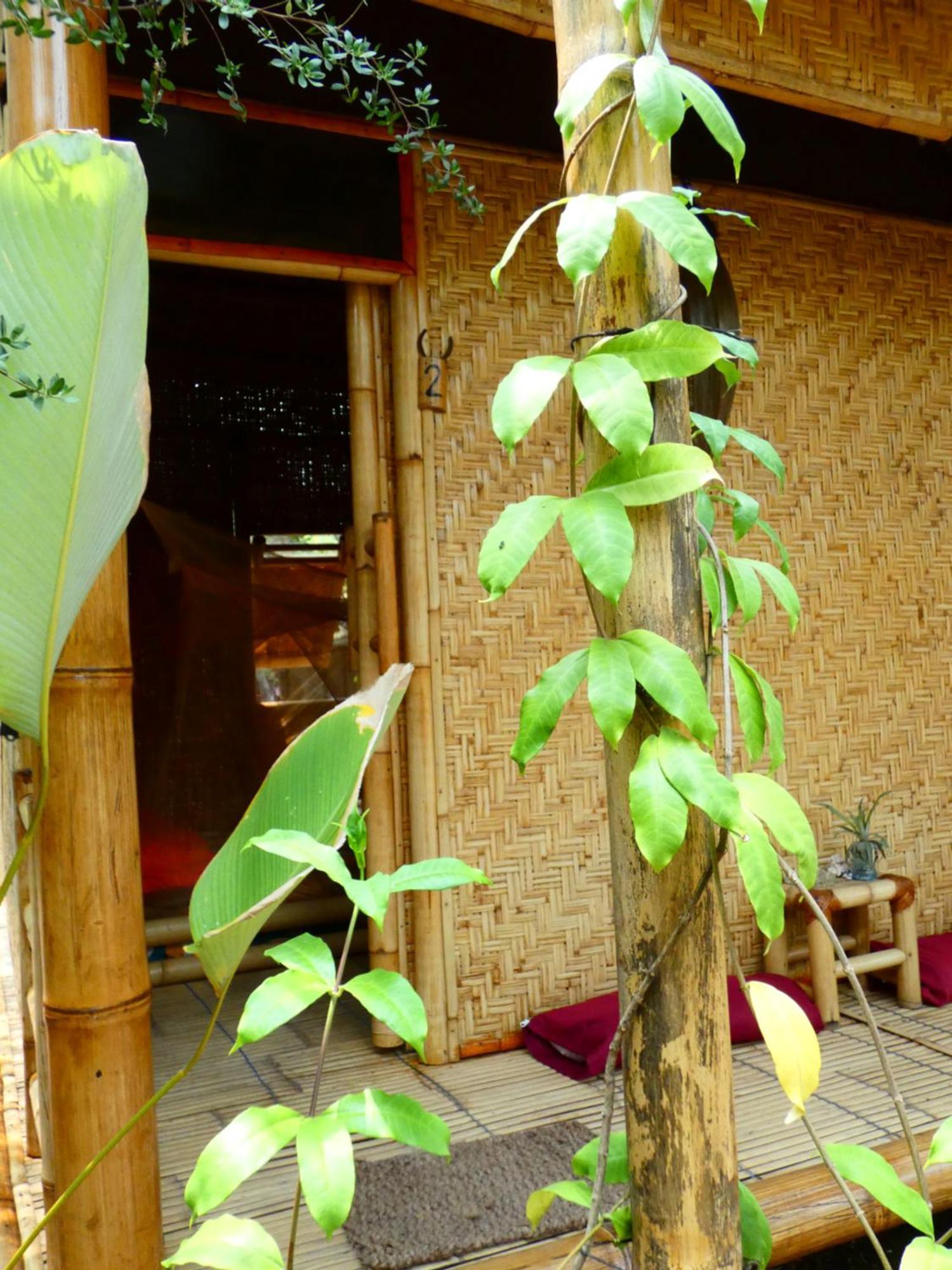 Uncle Hippie'S Dream Hostel Gili Meno Kültér fotó